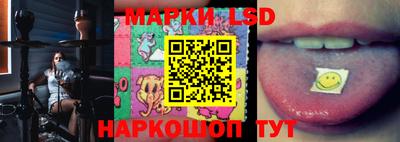 гидропоника Гусев