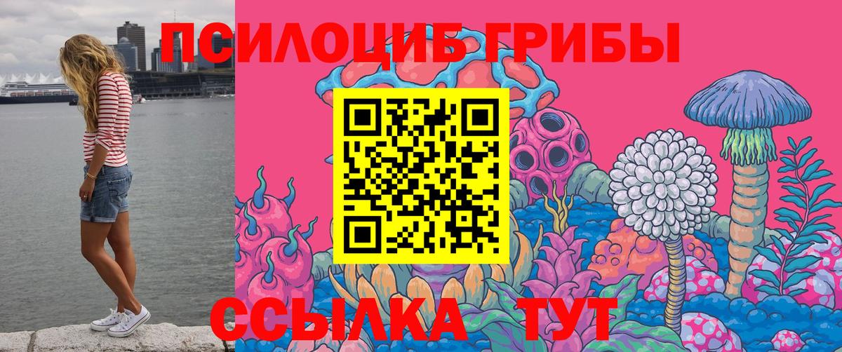 Галлюциногенные грибы GOLDEN TEACHER Заринск