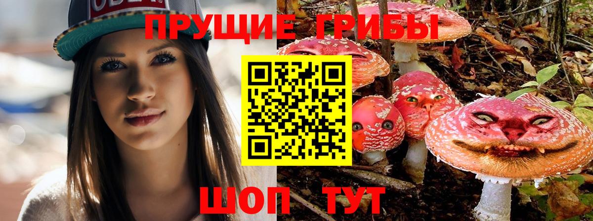 Псилоцибиновые грибы мухоморы  Вход с VPN  Заринск  Галлюциногенные грибы Psilocybine cubensis 